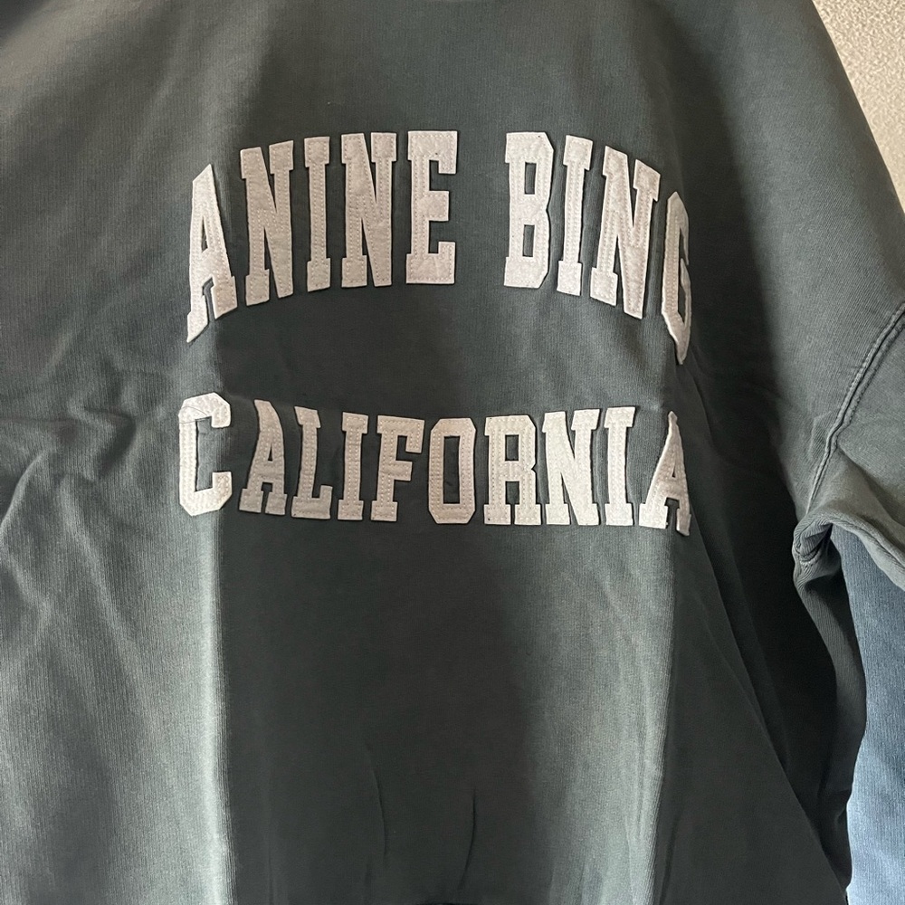 Anine Bing Miles Sweatshirt – Washed Sage Green (Size S)